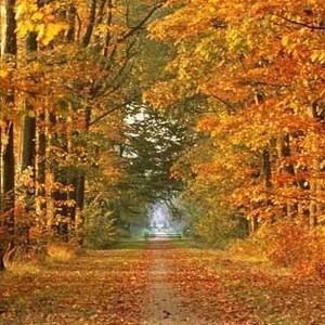 Meet your Posher, Marie